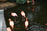 DSC_9167.JPG